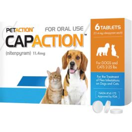 Capaction for dogs and 2024 cats