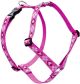 Puppy Love Roman Harness 1in wide X 24-38 Inch