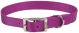 Flat Nylon Collar Orchid - 1