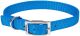 Flat Nylon Collar Double Ply Blue Lagoon - 1