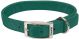 Flat Nylon Collar Double Ply Hunter - 1