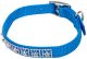 Flat Nylon Collar with Jewels Blue Lagoon - 3/8in Width x 10