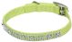 Flat Nylon Collar with Jewels Lime - 3/8in Width x 12