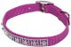 Flat Nylon Collar with Jewels Orchid - 3/8in Width x 10