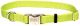 Nylon Adjustable Collar Lime - 3/4