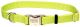 Nylon Adjustable Collar Lime - 1