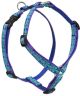 Rain Song Roman Harness 20-32 Inch