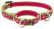 LUPINE Petunias Combo Collar 3/4in wide x  10-14in